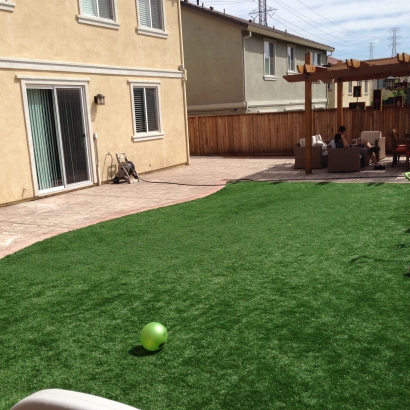 Turf Grass Casselberry, Florida Playground Safety, Beautiful Backyards