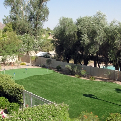 Turf Grass Frostproof, Florida Backyard Playground, Backyard Ideas