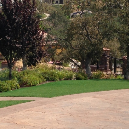 Turf Grass Manasota Key, Florida Landscape Photos, Backyard Design