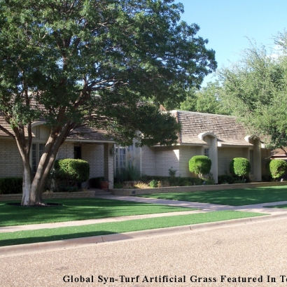 Turf Grass Seffner, Florida Backyard Playground, Front Yard Landscaping