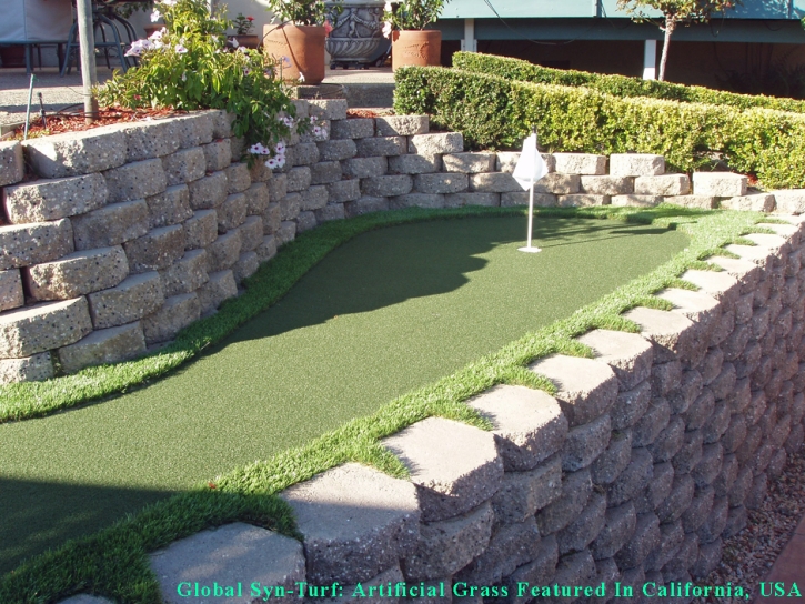 Artificial Grass Carpet Progress Village, Florida City Landscape, Backyard Designs