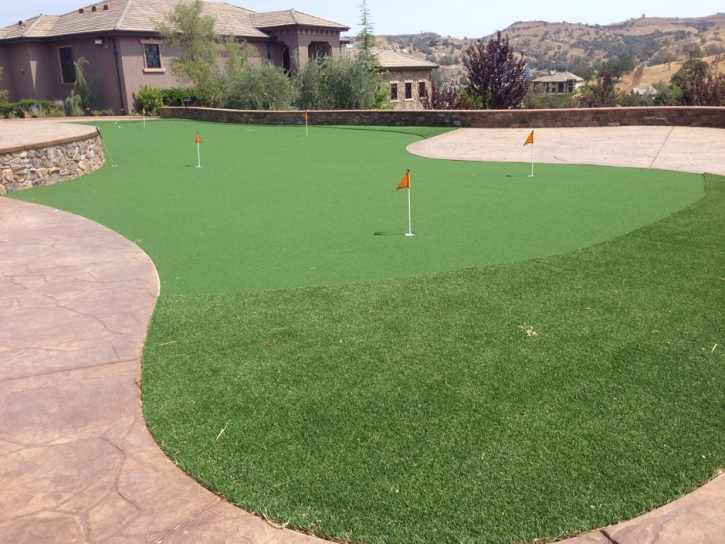 Artificial Grass Carpet Williamsburg, Florida Office Putting Green