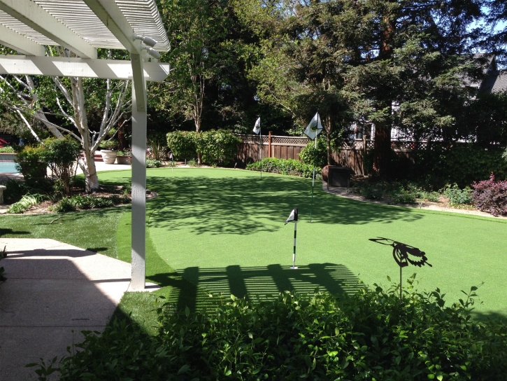 Artificial Grass Conway, Florida Garden Ideas