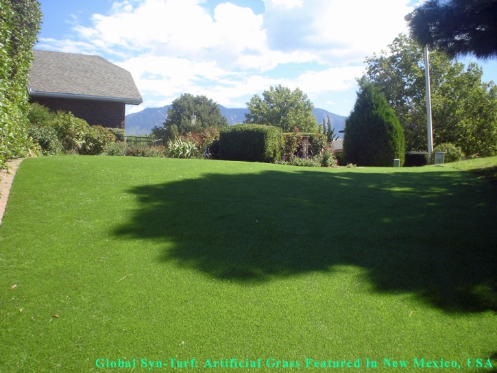 Artificial Grass Installation Carrollwood, Florida Pet Paradise, Backyard Landscaping