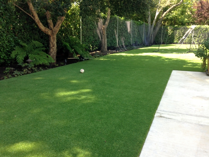 Artificial Grass Installation Immokalee, Florida Garden Ideas