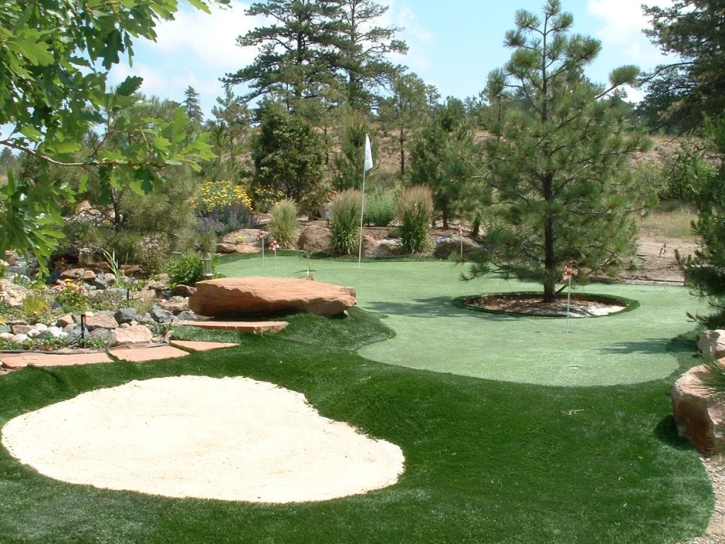 Artificial Grass Installation Lady Lake, Florida Indoor Putting Greens, Backyard Designs