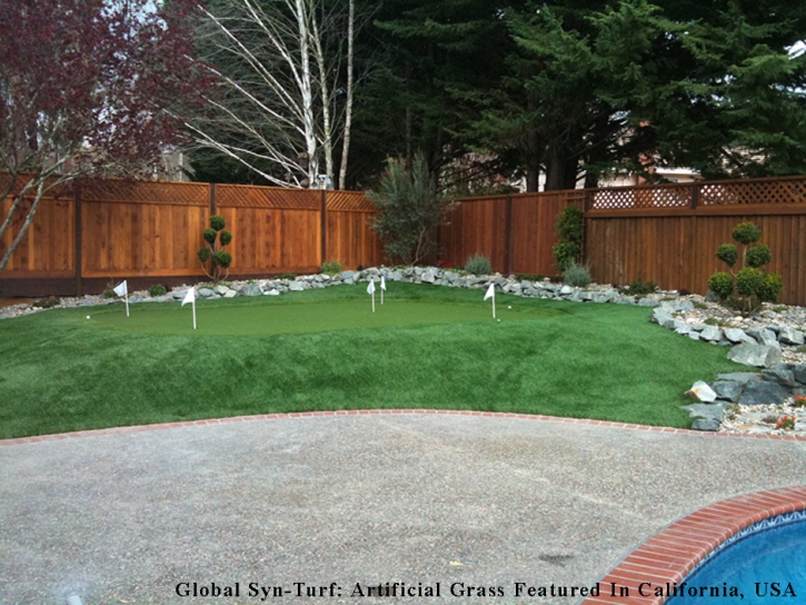 Artificial Grass Mango, Florida Putting Greens, Backyard Designs