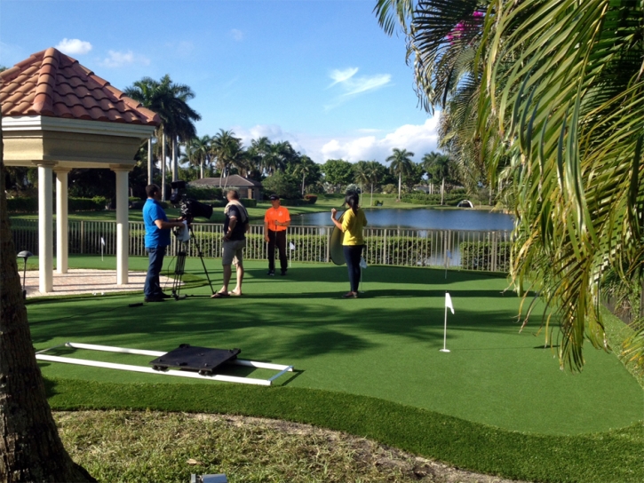 Artificial Grass Pebble Creek, Florida How To Build A Putting Green, Backyard Design