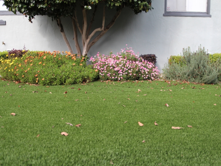 Artificial Lawn Grove City, Florida Roof Top, Front Yard Landscaping