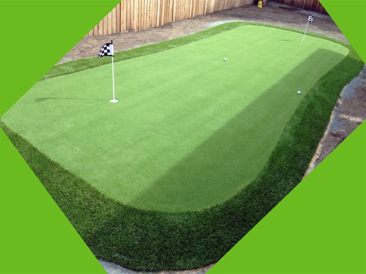Artificial Lawn Harbour Heights, Florida Putting Green Turf