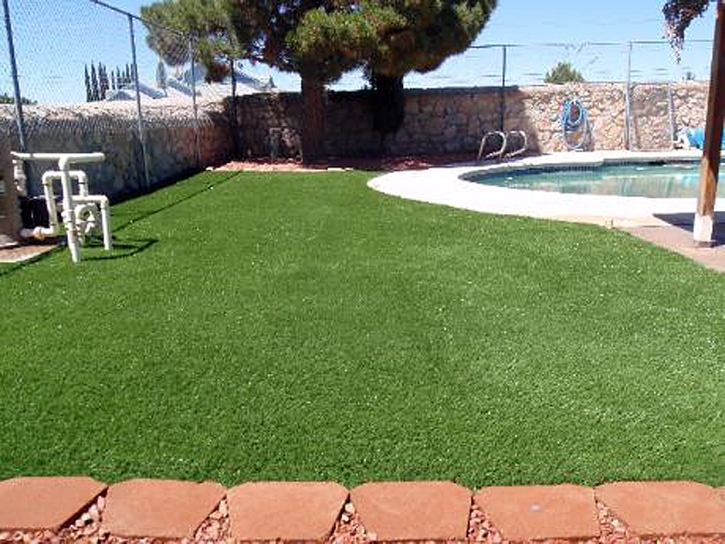 Artificial Lawn Whitfield, Florida Pictures Of Dogs, Pool Designs