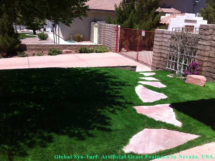 Artificial Turf Cost Citrus Park, Florida Grass For Dogs, Front Yard Landscape Ideas