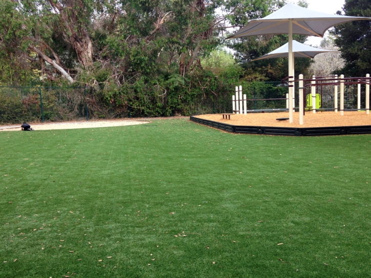 Artificial Turf Cost Winter Springs, Florida Indoor Playground