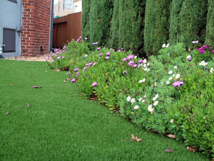 Artificial Turf Crooked Lake Park, Florida Landscaping Business, Small Front Yard Landscaping