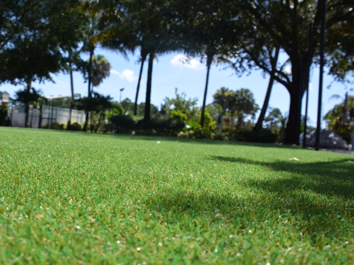 Artificial Turf Installation Apopka, Florida Landscaping, Parks