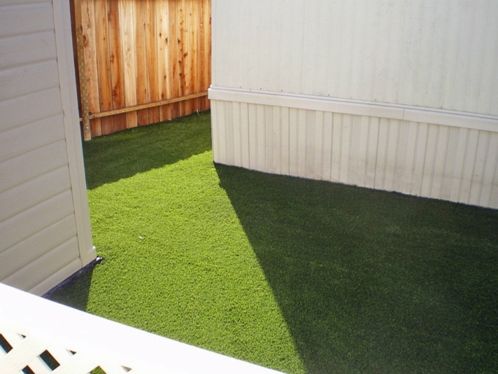 Artificial Turf Jan-Phyl Village, Florida Cat Grass, Backyard Landscaping Ideas