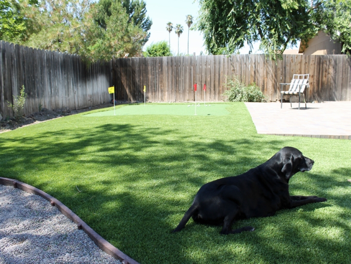 Artificial Turf Oak Ridge, Florida Gardeners, Backyard Landscape Ideas