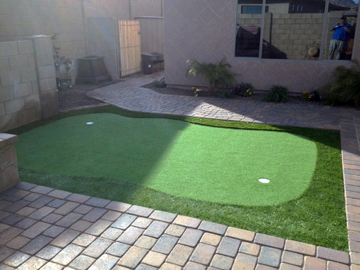 Artificial Turf Ridge Manor, Florida Home Putting Green, Backyard Landscaping