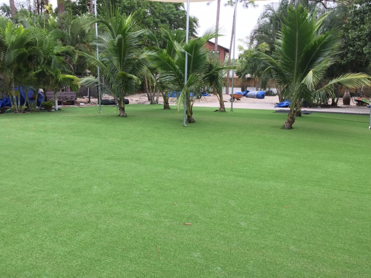 Artificial Turf Union Park, Florida Landscape Ideas, Commercial Landscape