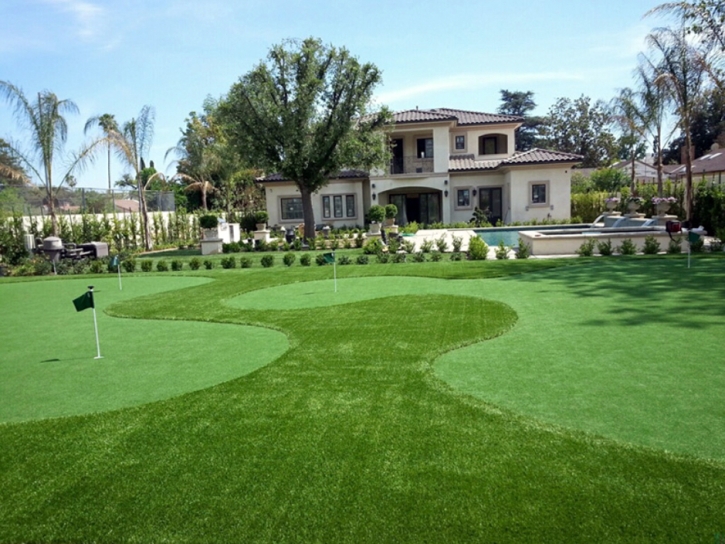 Best Artificial Grass Brewster, Florida Putting Green, Front Yard Design