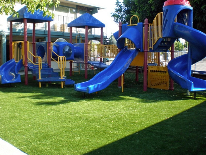 Best Artificial Grass Lake Sarasota, Florida Playground Safety, Commercial Landscape