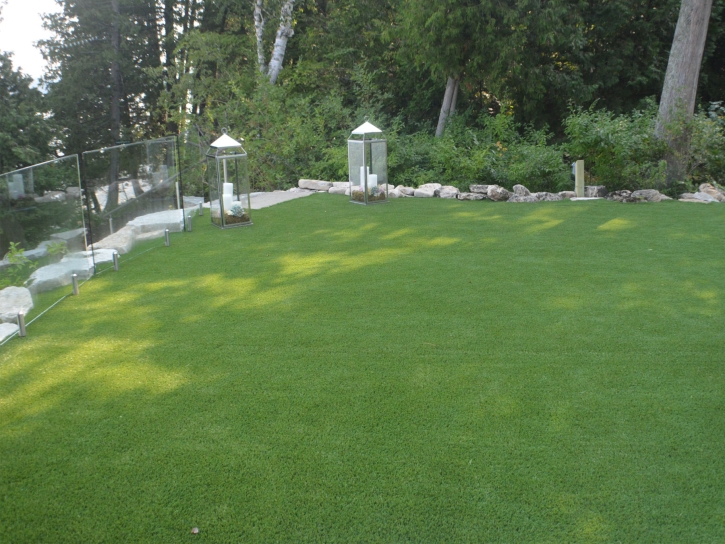 Best Artificial Grass Paisley, Florida Landscaping Business, Backyard