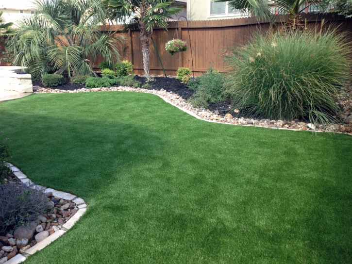 Best Artificial Grass Placid Lakes, Florida Roof Top, Backyard Designs