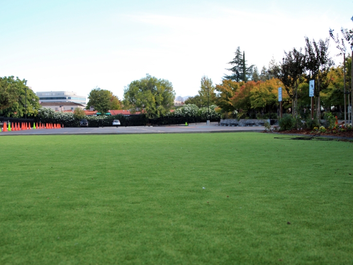 Best Artificial Grass San Carlos Park, Florida Lacrosse Playground