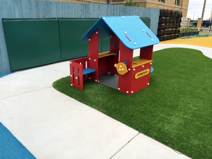 Fake Grass Carpet Aripeka, Florida Indoor Playground, Commercial Landscape