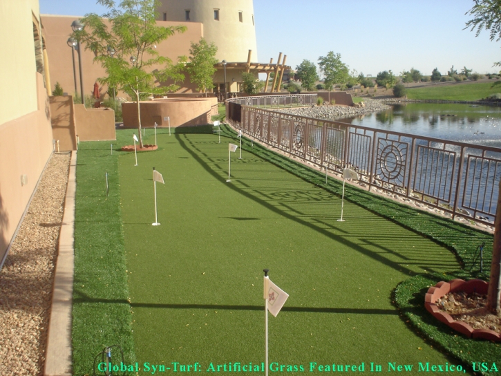 Fake Grass Carpet East Lake-Orient Park, Florida Design Ideas, Backyard Landscaping