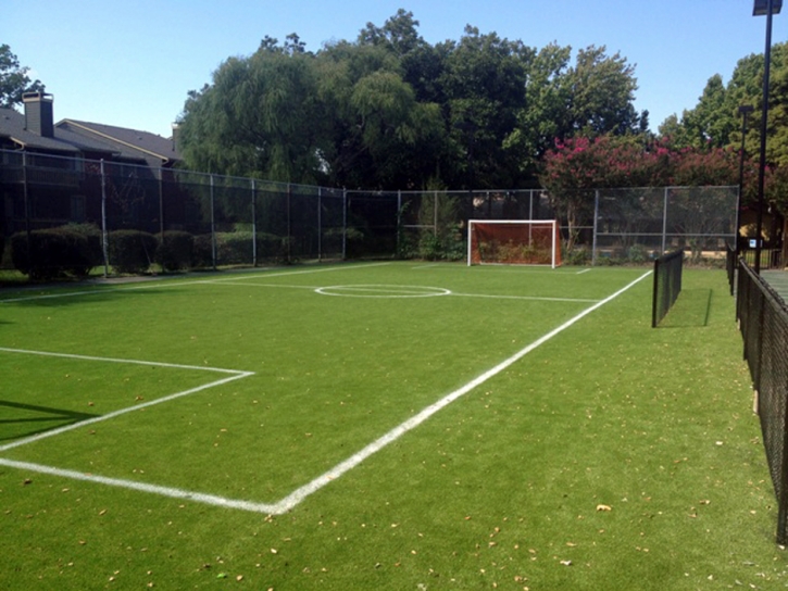 Fake Grass Carpet Hudson, Florida High School Sports, Commercial Landscape