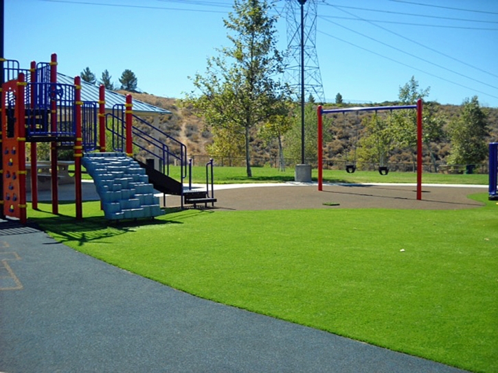 Fake Grass Carpet Medulla, Florida Indoor Playground, Recreational Areas