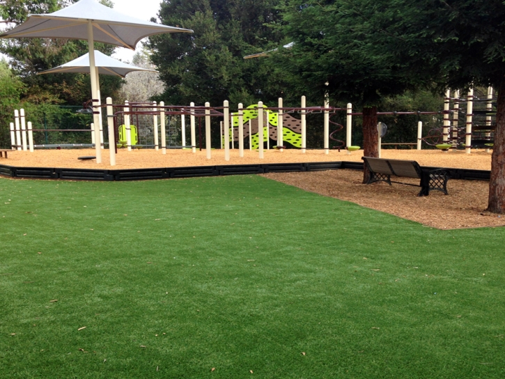 Fake Grass Carpet Pine Island Center, Florida Athletic Playground, Backyard Landscaping