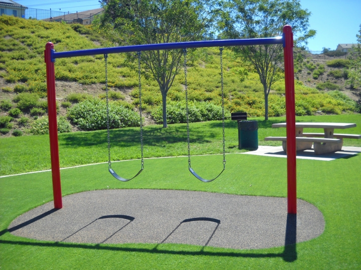 Fake Grass Carpet Southeast Arcadia, Florida Indoor Playground, Recreational Areas