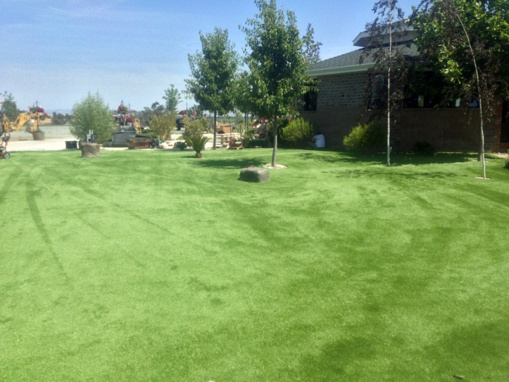 Fake Grass Carpet Spring Lake, Florida Cat Grass, Recreational Areas