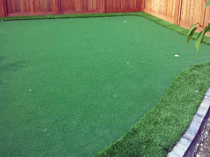 Fake Grass Carpet West Bradenton, Florida Gardeners, Beautiful Backyards