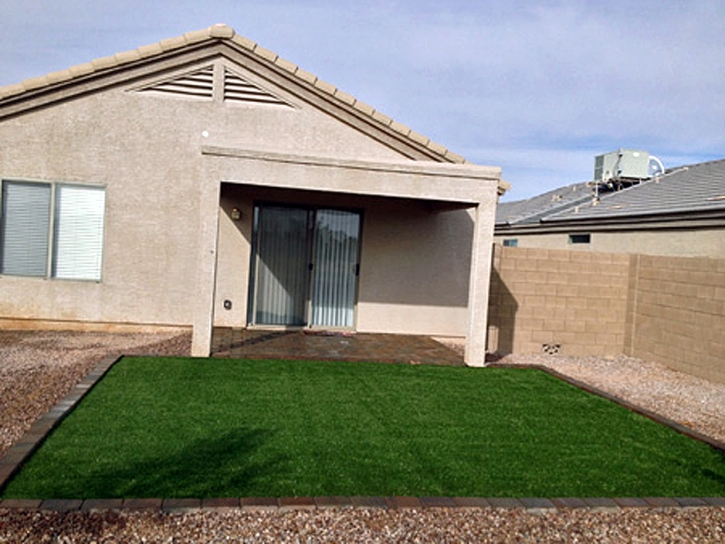 Fake Grass Istachatta, Florida Dog Hospital, Backyard Design