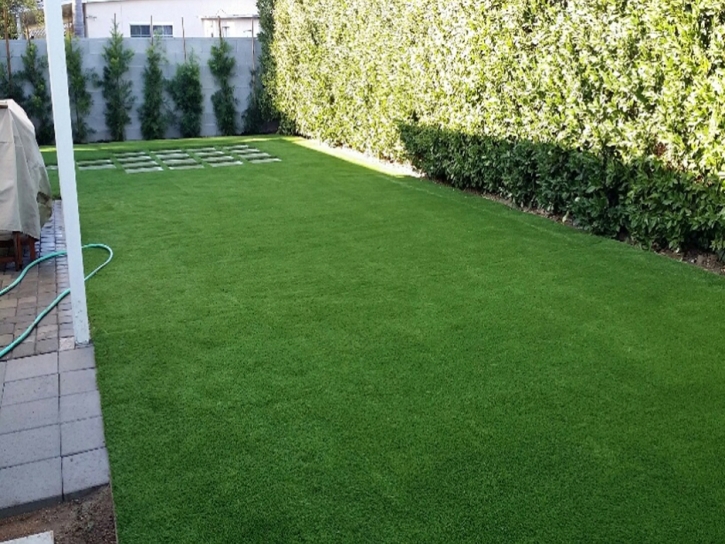 Fake Grass McIntosh, Florida Fake Grass For Dogs, Backyard Designs