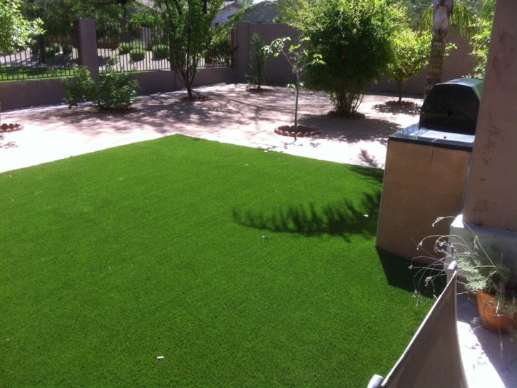 Fake Grass Punta Gorda Isles, Florida City Landscape, Backyards