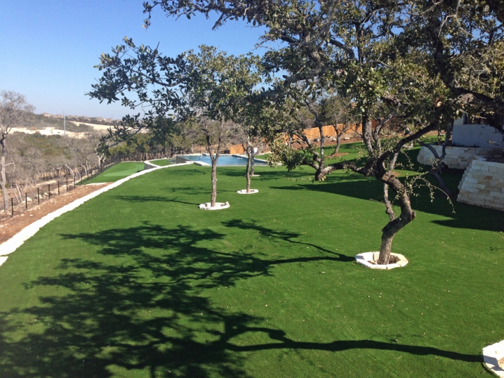 Fake Lawn Conway, Florida Home And Garden, Backyard Landscaping