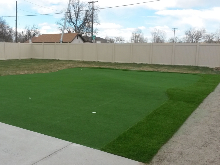 Fake Turf Inglis, Florida Indoor Putting Green, Small Backyard Ideas