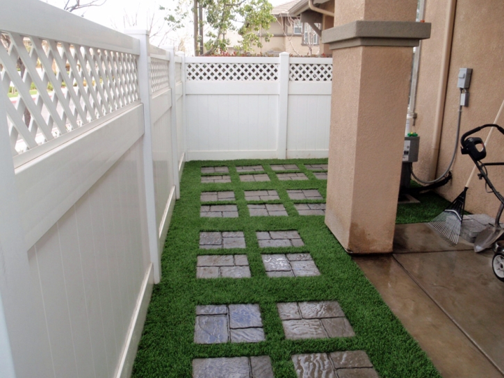 Fake Turf Lecanto, Florida Landscaping Business, Backyard Designs