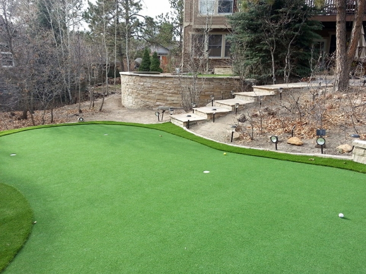 Faux Grass Gardner, Florida Roof Top, Backyard Designs