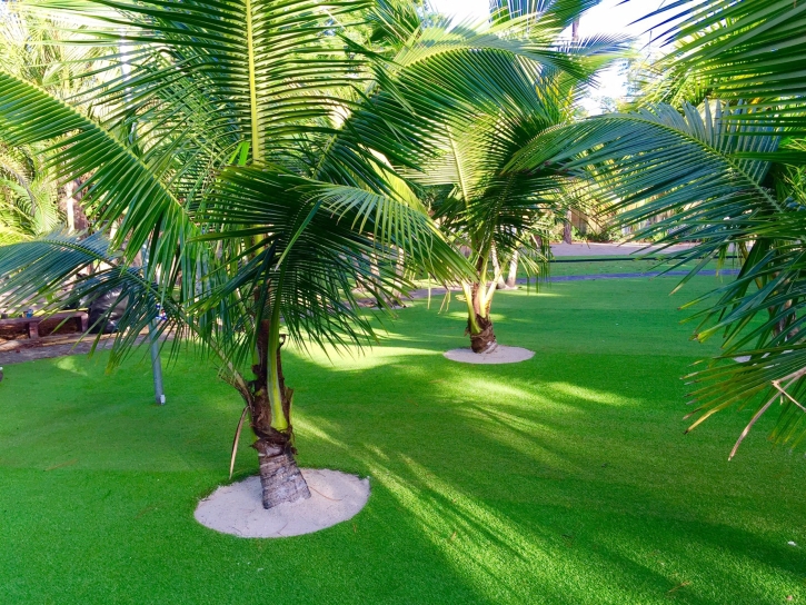 Faux Grass Mount Dora, Florida Paver Patio, Commercial Landscape