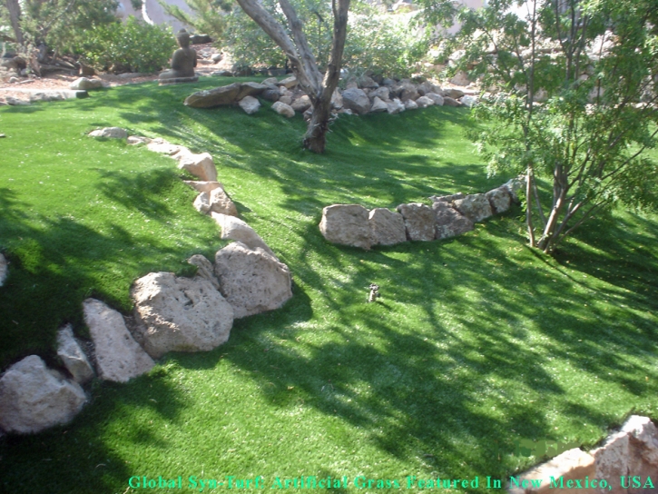 Faux Grass Temple Terrace, Florida Garden Ideas, Pavers