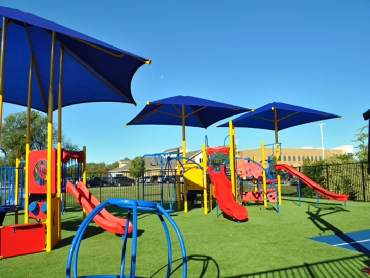 Faux Grass West Bradenton, Florida Indoor Playground, Recreational Areas