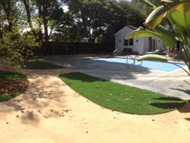Grass Carpet Bokeelia, Florida Landscape Rock, Pool Designs
