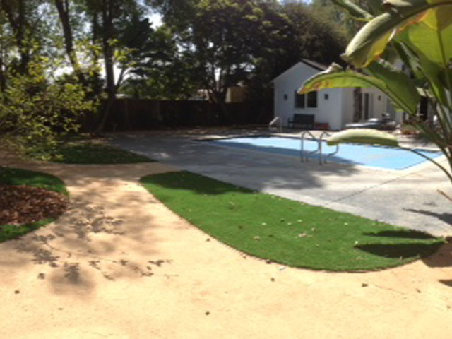 Grass Carpet Bokeelia, Florida Landscape Rock, Pool Designs