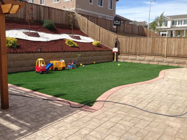 Grass Carpet Forest City, Florida Upper Playground, Beautiful Backyards