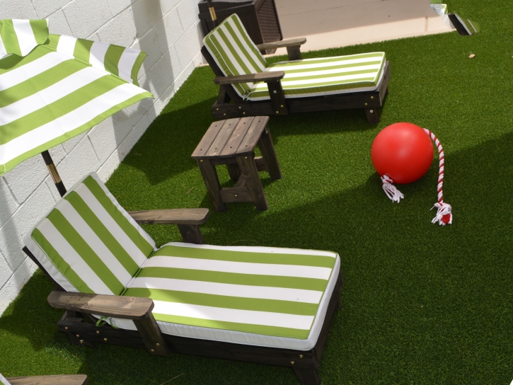 Grass Carpet Heathrow, Florida Lawn And Garden, Backyard Ideas
